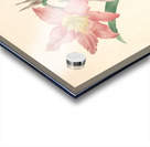 QVT 1088 – Vintage Floral Illustration French.j Acrylic print