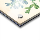 QVT 1085 – Vintage Floral Illustration French.j Acrylic print