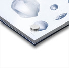 QVT 1035 – Vintage Nautical Sea Creatures and S Acrylic print