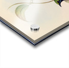 QVT 1093 – Vintage Illustrations from Birds of Acrylic print