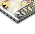 QCL 1123 – Libellules butome en ombelle nenupha Acrylic print