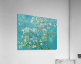 QAC 002 – Cherry Blossoms by Vincent van Gogh . Acrylic Print