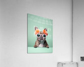 QAN 063 – Fashionable Frenchie Acrylic Print