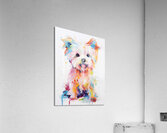 QAN 1059 – Happy Painted Maltese Puppy Bold Col Acrylic Print