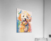 QAN 1055 – Goldie Bold Colorful Happy Puppy Acrylic Print