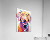 QAN 1062 – Bold Painted Lab Colorful Happy Dog. Acrylic Print