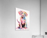 QAN 1063 – Colorful Baby Lab Bold Happy Puppy.j Acrylic Print