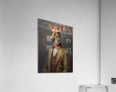 QAN 1029 – Reginald Acrylic Print