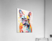 QAN 1052 – French Bulldo Colorful Happy Puppy.j Acrylic Print