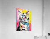 QAN 1069 – Bold Colorful Happy Cat Acrylic Print