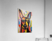 QAN 1087 – Dobbie Acrylic Print