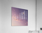 QFA 0027 – Adrift Acrylic Print