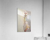 QFB 1064 – Delicate Wallflower Fresco Floral.jp Acrylic Print