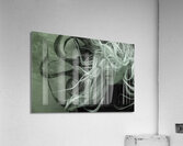 QGF 003 – double exposure octopus Acrylic Print