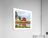 QMF 009 – Red Barn Beside Tree Beach City OH Un Acrylic Print