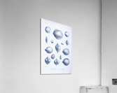 QVT 1035 – Vintage Nautical Sea Creatures and S Acrylic Print