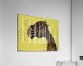 QCL 1067 – Apocalyptic horse by Albert Tucker.j Acrylic Print