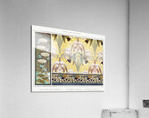 QCL 1123 – Libellules butome en ombelle nenupha Acrylic Print