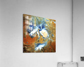 QEAA 006 – Earth As Art USGS Acrylic Print