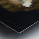 QAC 0062 – Madame Butterfly Bouguereau Girl Metal print