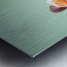 QAN 063 – Fashionable Frenchie Metal print