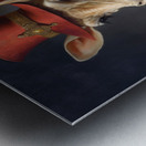 QAN 1027 – Wellington Metal print