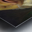 QAN 1033 – Frumppytail Metal print