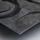 QGF 002 – Octopus Leg and Goldie Locks Metal print