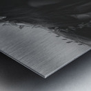 QTY 004b – Frog Prince Metal print