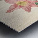 QVT 1088 – Vintage Floral Illustration French.j Metal print