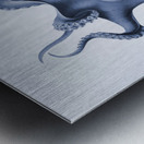 QVT 1030 – Vintage Octopus Illustration Metal print