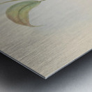 QVT 1093 – Vintage Illustrations from Birds of Metal print