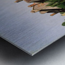 QCL 1097 – Houses near Orleans Maisons aux Envi Metal print