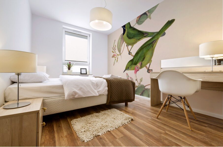 QVT 1093 – Vintage Illustrations from Birds of Mural print