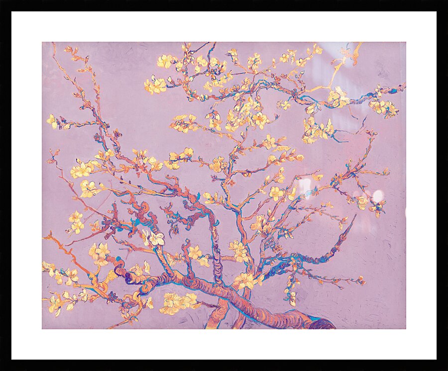 QAC 003 – Amandelbloesem by Vincent van Gogh Co Picture Frame print