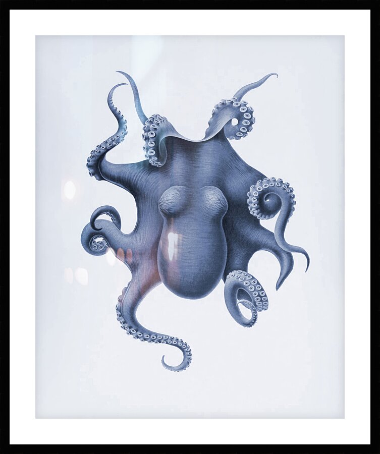 QVT 1030 – Vintage Octopus Illustration Picture Frame print