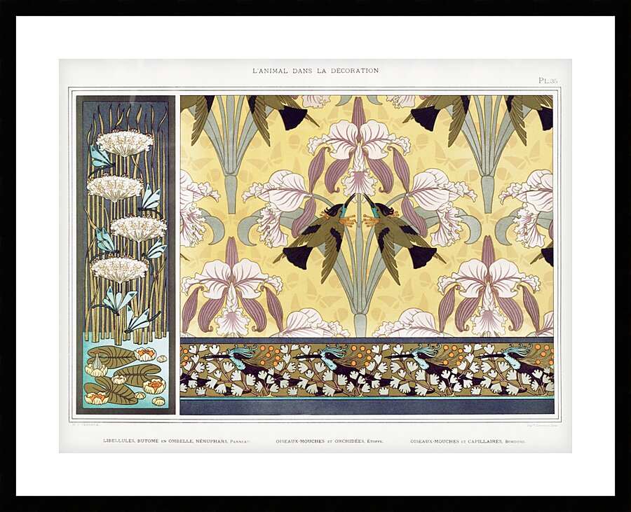 QCL 1123 – Libellules butome en ombelle nenupha Picture Frame print