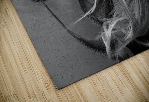 QGF 002 – Octopus Leg and Goldie Locks Masterwork Reimagined puzzle