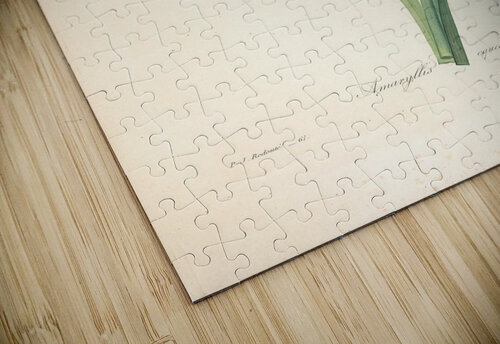 QVT 1088 – Vintage Floral Illustration French.j Masterwork Reimagined puzzle