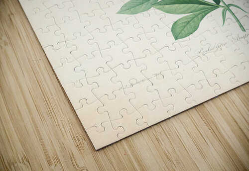 QVT 1085 – Vintage Floral Illustration French.j Masterwork Reimagined puzzle