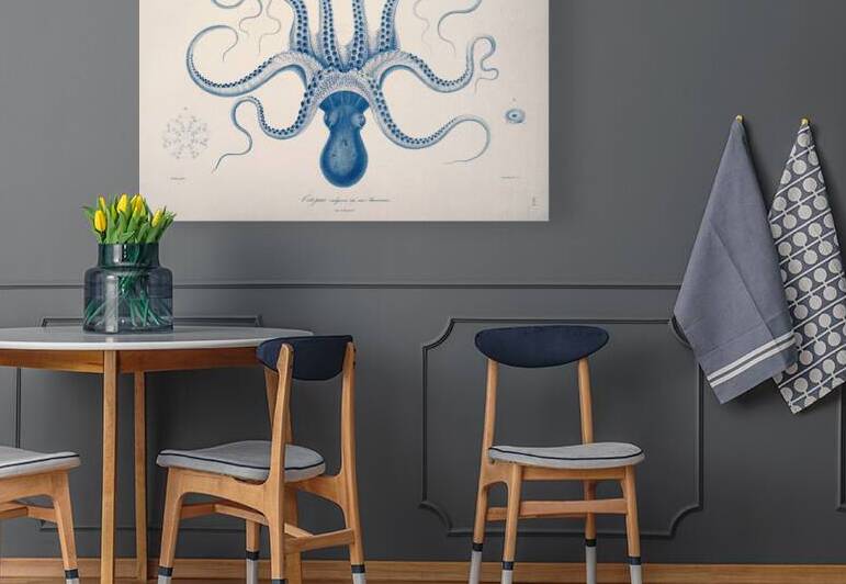 QVT 1031 – Vintage Octopus Illustration by Masterwork Reimagined