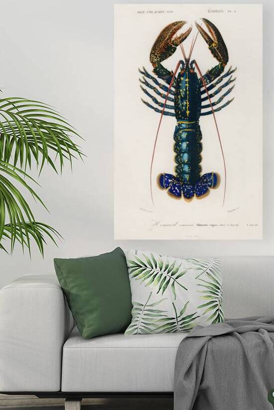 QVT 1028 – Vintage Lobster Illustration by Masterwork Reimagined
