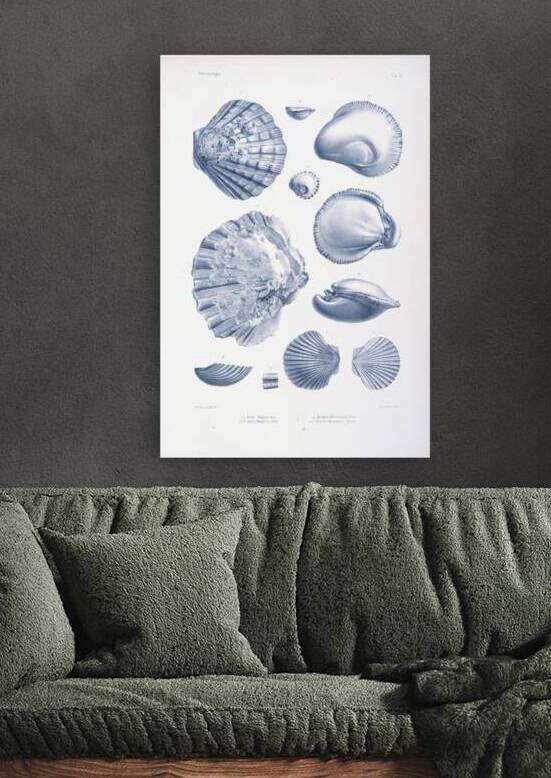 QVT 1037 – Vintage Nautical Sea Creatures and S by Masterwork Reimagined