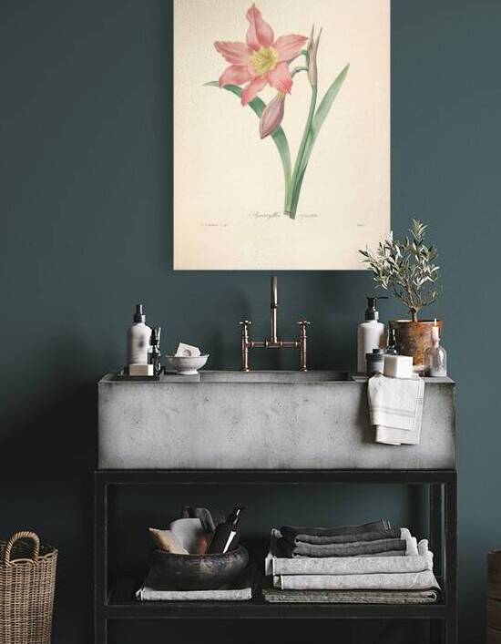 QVT 1088 – Vintage Floral Illustration French.j by Masterwork Reimagined
