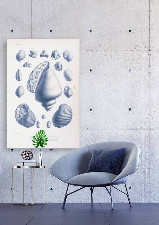 QVT 1034 – Vintage Nautical Sea Creatures and S by Masterwork Reimagined