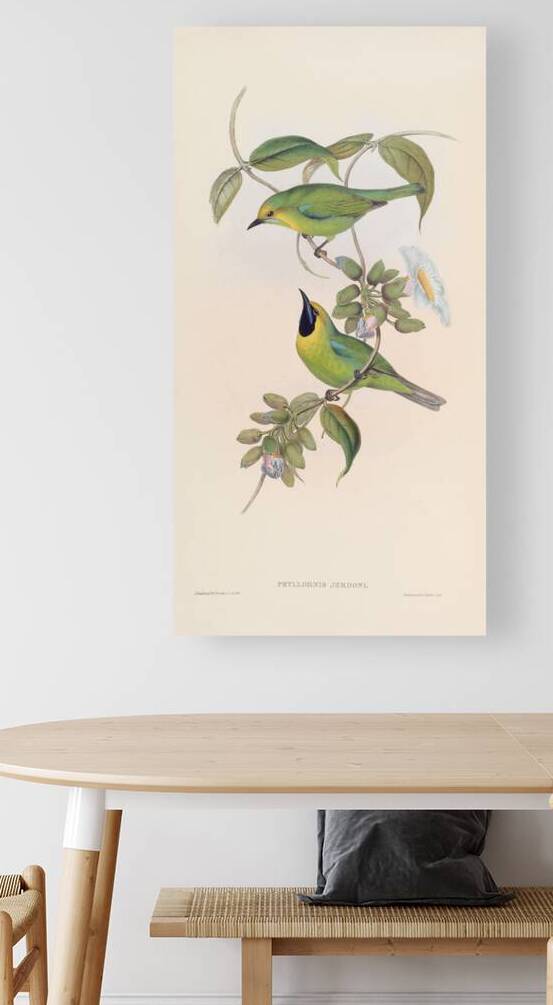 QVT 1092 – Vintage Illustrations from Birds of by Masterwork Reimagined
