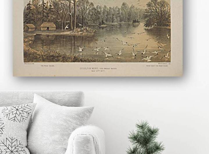 QVT 1112 – Vintage Ornithological by Masterwork Reimagined