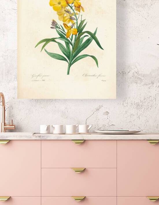 QVT 1091 – Vintage Floral Illustration French.j by Masterwork Reimagined