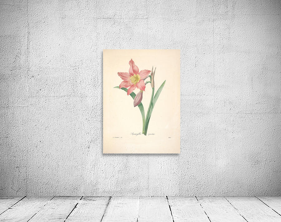 QVT 1088 – Vintage Floral Illustration French.j Wall Preview