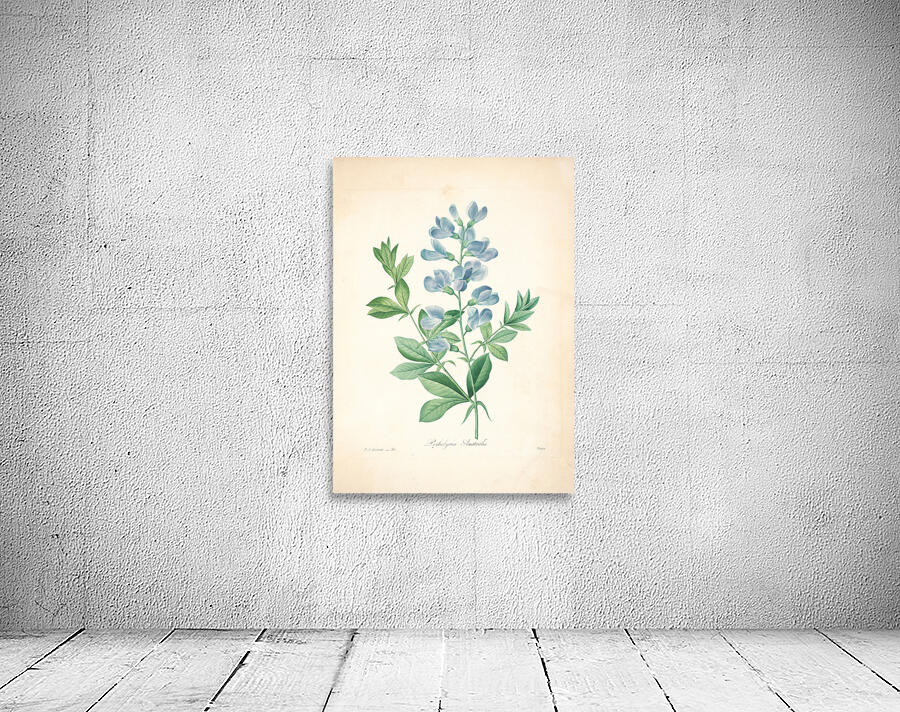 QVT 1085 – Vintage Floral Illustration French.j Wall Preview